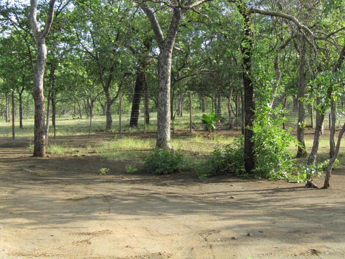 Pafuri Gate Guesthouse Mabalingwe Game Reserve Esterno foto